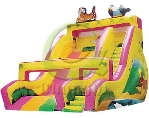 big inflatable slide